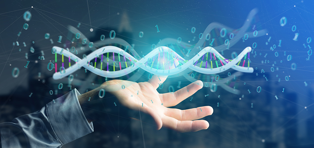 香港離岸公司審計(jì)費(fèi)用的重要性，如何降低費(fèi)用