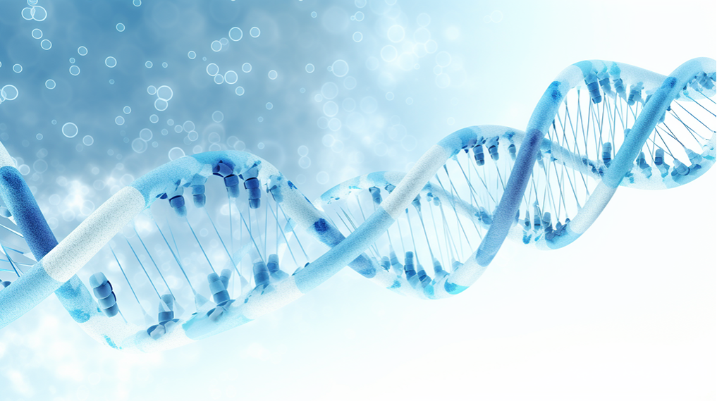 香港BVI公司年審指南：確保合規(guī)與順利運(yùn)營的關(guān)鍵步驟